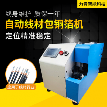萊尼汽車電線解決方案