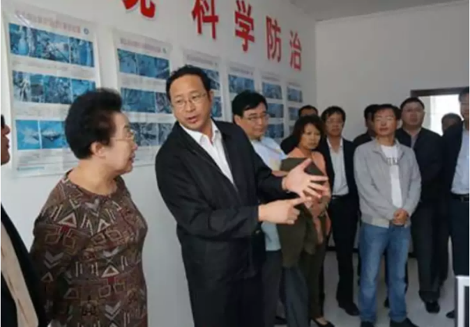 從美學成歸國，拉平板車授課，完成多個863計劃項目